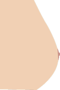 3 شكل الثدي الكامل